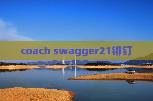 coach swagger21铆钉